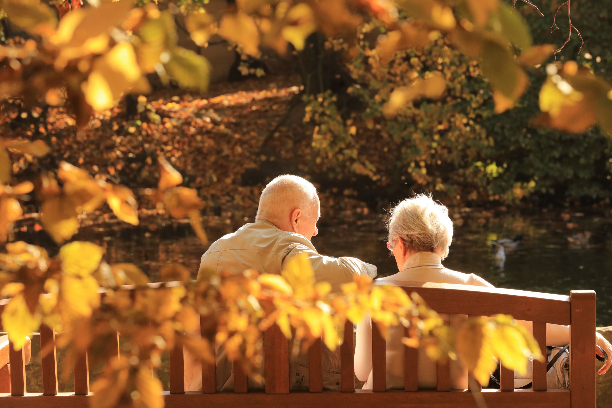 Rencontre senior